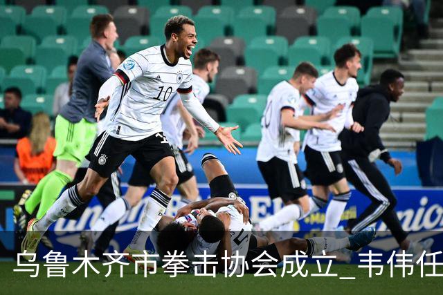 乌鲁木齐市拳击协会成立 韦伟任会长